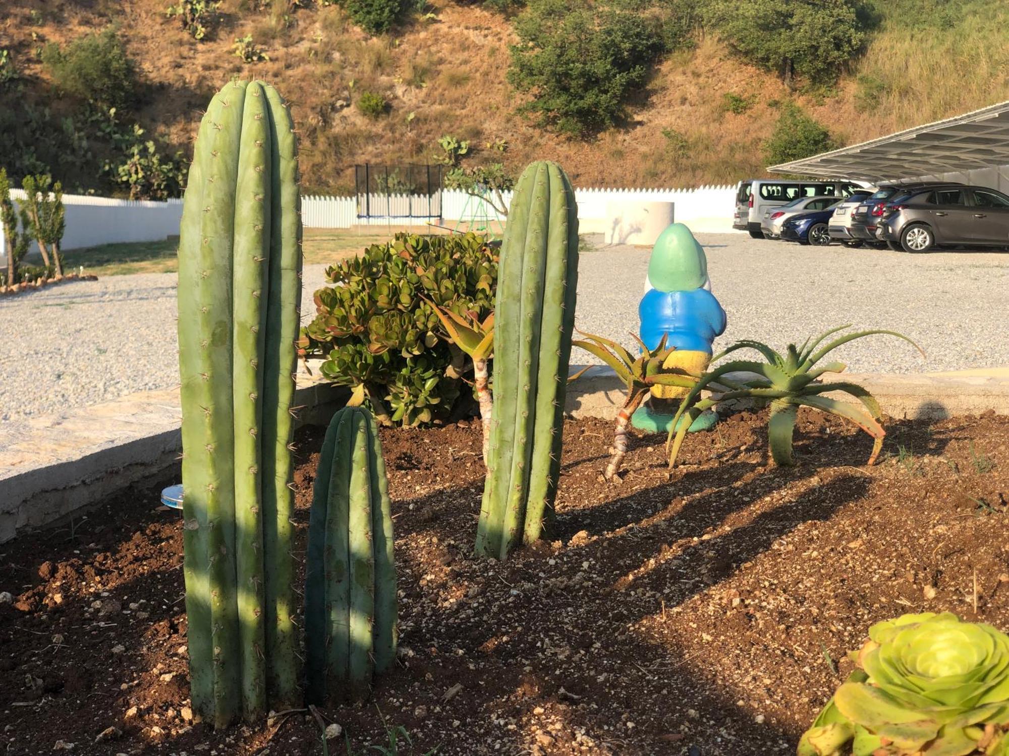 Bloom Tropea Aparthotel Ciaramiti Εξωτερικό φωτογραφία